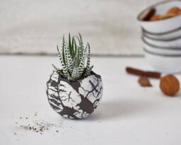 Small White & Black Modern Boho Chic Planter For Succulent - Indoor Plant Pot Wedding Table Decorative Centerpiece Or Giveaway - thumbnail 1