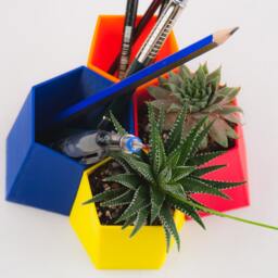 Scutoid Succulent Planter & Pen Holder, 3D Printed Desk Organizer - thumbnail 3