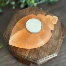 Orange Selenite Shell Candle Holder - Natural Crystal Tealight Coastal Home D??cor & Healing Stone Gift - thumbnail 1