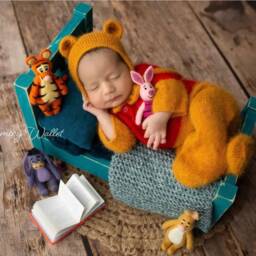 Newborn Teddy Bear Felted Photo Props, Tiger Toy For Photography, Honey Pot, Photography Props - thumbnail 2