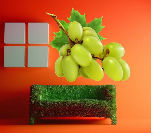 Green Grapes Full Color Decal, Wine Color Sticker, Wall Art Cn 179