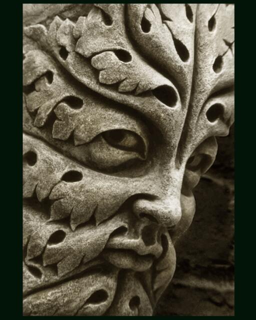 Bamberg Green Man, Cast Stone Leaf Face, Greenman, Garden Ornament, Renaissance Element, Medieval Sculpture, Carved Gothic Corbel, Chalifour - image 1