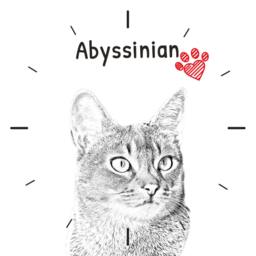 Abyssinian Cat, Free Standing Mdf Floor Clock With An Image Of A Cat - thumbnail 2