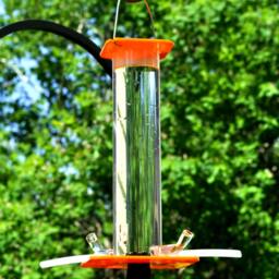 Oriole Feeder Handmade Bird Feeder Attracts Orioles, Buntings, Finches - thumbnail 4