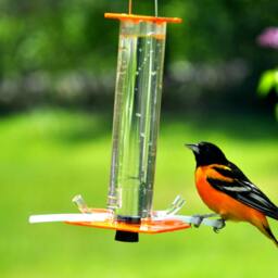 Oriole Feeder Handmade Bird Feeder Attracts Orioles, Buntings, Finches - thumbnail 2