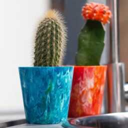 Recycled Plastic Succulent Pot - 2 Pack - Eco-Friendly Indoor Cacti Pots - thumbnail 4