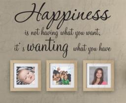 Happiness Not Having What You Want Its Have Family Friendship Inspirational Vinyl Quote Wall Decal Lettering Decoration Sticker Art I52 - thumbnail 1