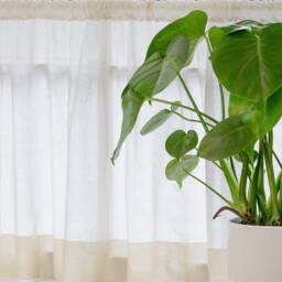 Sheer Cotton Muslin Curtain, Rod Pocket Top, Kitchen Or Cafe Style - thumbnail 3