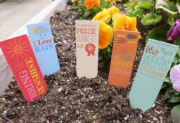 Cute & Colorful Plant Label Stakes For Garden, Planter Or Window Box - thumbnail 1