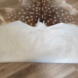 European Fallow Deer Hides 100% Natural Xl Size, Beautiful Decoration Made Of Real Deerskin - thumbnail 3