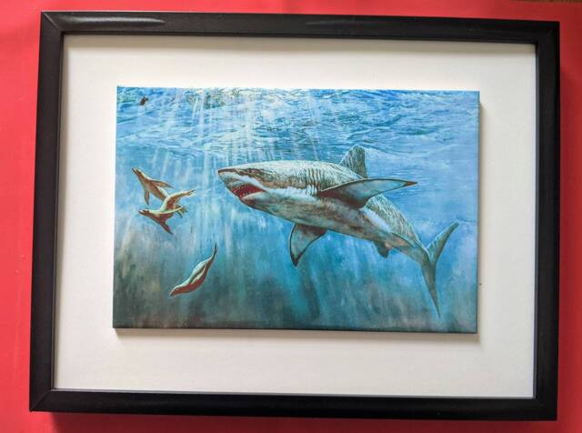 "Shark Ceramic Wall Art Tile, 8"" By 12" - image 1