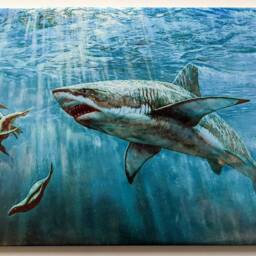"Shark Ceramic Wall Art Tile, 8"" By 12" - thumbnail 2
