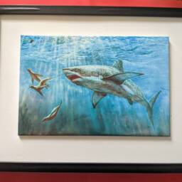"Shark Ceramic Wall Art Tile, 8"" By 12" - thumbnail 4