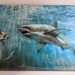 "Shark Ceramic Wall Art Tile, 8"" By 12" - thumbnail 3