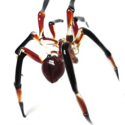 Spider Animals Glass, Art Blown Glass, Farmhouse Decor, Blown Glass Figurine - thumbnail 3