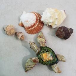 Blown Glass Sea Turtle Sculpture Lampwork Ocean Art - thumbnail 2