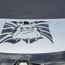 British English Bulldog Wall Art Decal Car Van Bonnet Vinyl Side Sticker Hood Graphic Window Sign Motorhome Campervan Bull Dog Animal - thumbnail 2