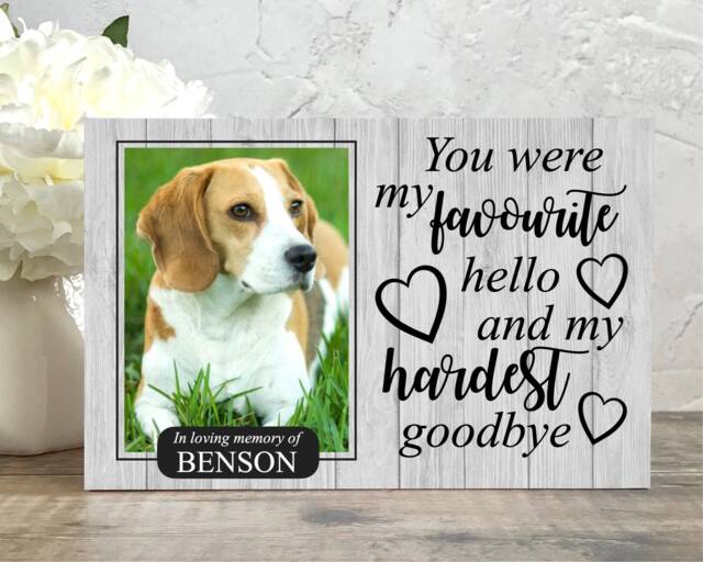 Pet Memorial Gift, Dog Memorial, Frame, Plaque, Photo Picture Cat - image 1