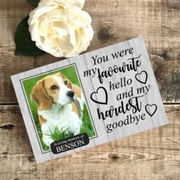 Pet Memorial Gift, Dog Memorial, Frame, Plaque, Photo Picture Cat - thumbnail 2