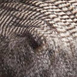 Grey Faux Fur Pillow Black Throw Feather Cushion Feathers Bohemian Decor - thumbnail 3