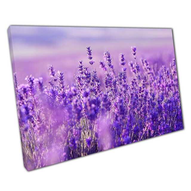 Enchanting Lavender Field Canvas Vibrant Nature Landscape Wall Art For Home & Office Decor - image 1