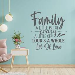 Family A Little Bit Of Crazy - Wall Sticker Decal Quote - thumbnail 1