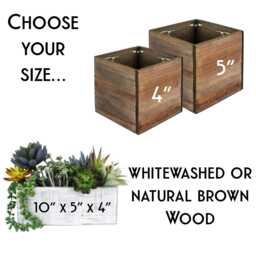 Personalized Cat Planter Rustic Wood Succulent Box, Lover Gift - thumbnail 4