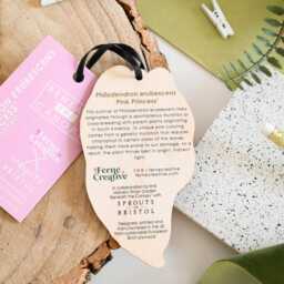 Pink Princess Philodendron Wooden Hanging Plant Holder, Indoor Botanical Wall Decor, Unique Greenery Display, Gift For Lovers - thumbnail 2