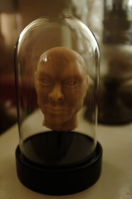 Head Under Glass, Made Of Silicone, Decorative, Cabinet Curiosities, Unusual & Unique Item - image 1