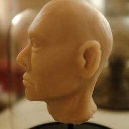 Head Under Glass, Made Of Silicone, Decorative, Cabinet Curiosities, Unusual & Unique Item - thumbnail 3