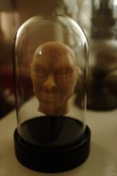 Head Under Glass, Made Of Silicone, Decorative, Cabinet Curiosities, Unusual & Unique Item - thumbnail 1