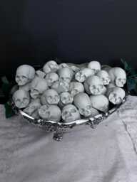 Lot Of 20 Realistic Mini Skulls - thumbnail 1
