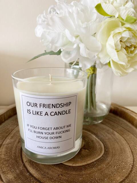 Friendship - Funny Quote Candle Jar Scented Sassy Gifts Gift Ideas Best Friend Birthday Xmas Handmade Soy - image 1