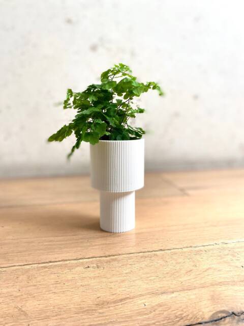"Tall Planter ""Pedestal" - image 1