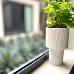 "Tall Planter ""Pedestal" - thumbnail 3