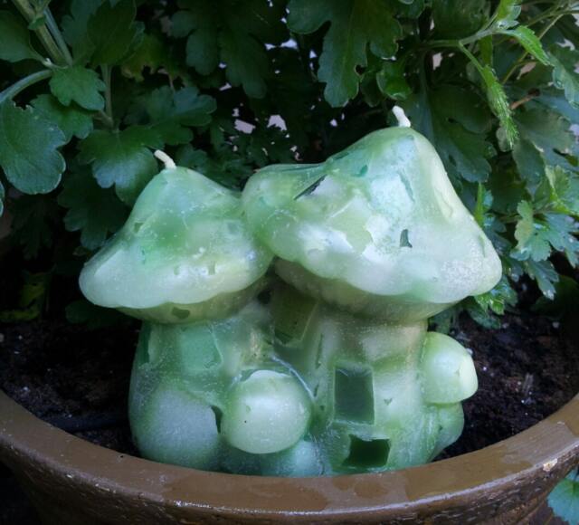 Cluster Mushroom Candle 2 Wick Chunky - image 1