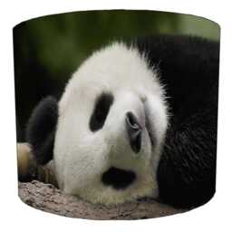 Panda Bear Drum Lampshade For Ceiling Light Pendants Or Table Lamp Bases - thumbnail 3