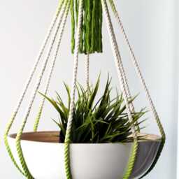 Handmade Macrame Plant Hanger Apple Green Cotton Rope, No Tassel - thumbnail 2