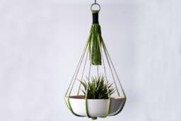 Handmade Macrame Plant Hanger Apple Green Cotton Rope, No Tassel