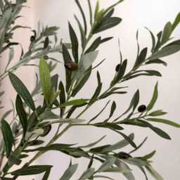 210cm Artificial Olive Tree, Faux Plant, Plant in Pot, Home Decor, UK - thumbnail 2