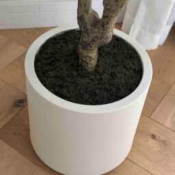 210cm Artificial Olive Tree, Faux Plant, Plant in Pot, Home Decor, UK - thumbnail 3