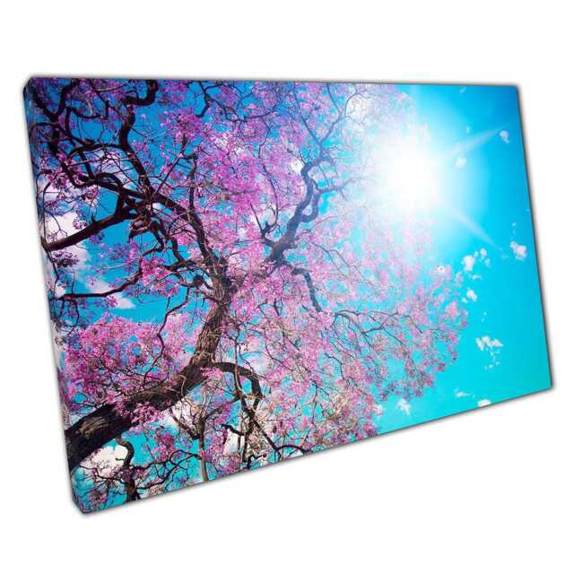 Blossom Tree Canvas Art Print Under Sun Blue Skies For Home Office Decor - image 1