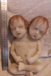 Taxidermy Cabinet Of Curiosities Siamese Fetus Oddities - thumbnail 1