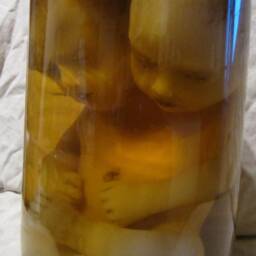 Taxidermy Cabinet Of Curiosities Siamese Fetus Oddities - thumbnail 3