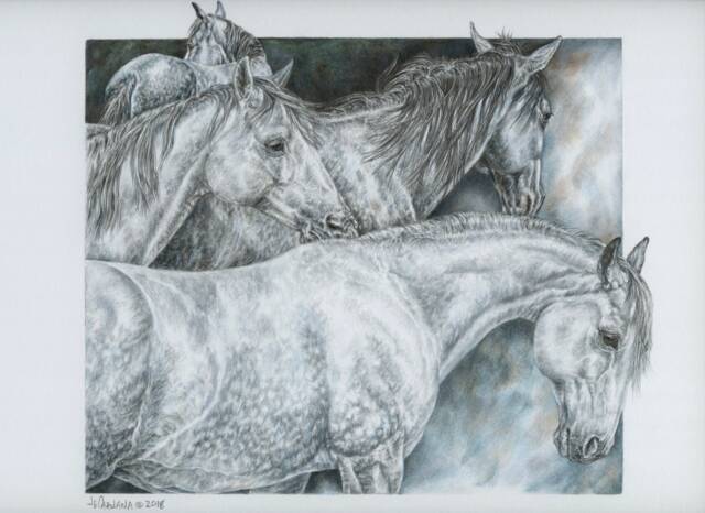 "Grey Horses Wall Art - Signed, Limited Edition Giclee Print ""Dapples & Greys" - image 1