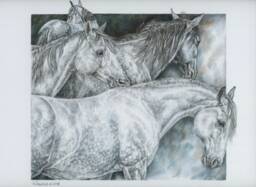 "Grey Horses Wall Art - Signed, Limited Edition Giclee Print ""Dapples & Greys" - thumbnail 1