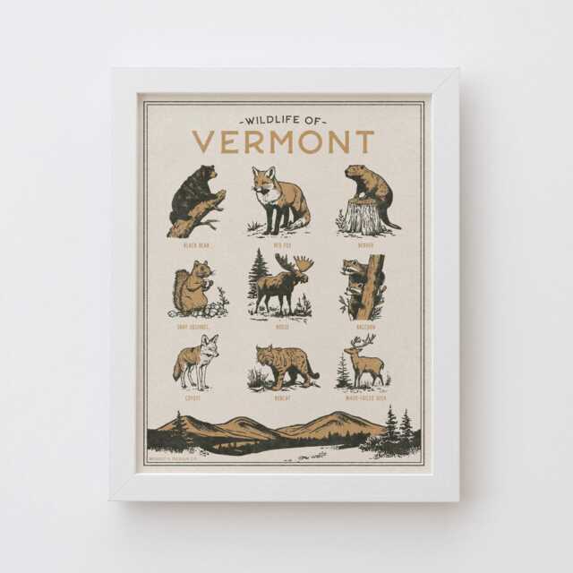 Vermont Wildlife Wall Art Print - Vintage Poster Design, Archival Quality Matte Fine Art Print. Outdoor, Wilderness Gift - image 1