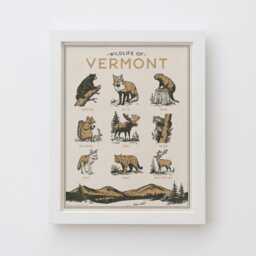 Vermont Wildlife Wall Art Print - Vintage Poster Design, Archival Quality Matte Fine Art Print. Outdoor, Wilderness Gift - thumbnail 1