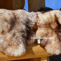 Genuine White-Brown Sheepskin Rug 100% Natural Color Soft Long Wool - thumbnail 2