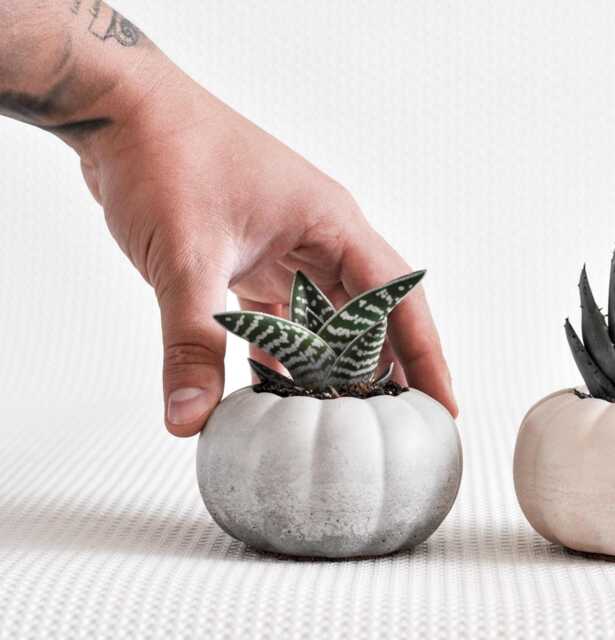 Textured Round Concrete Planter - Small Grey Pot For Succulents, Cactus Or Air Plants - image 1